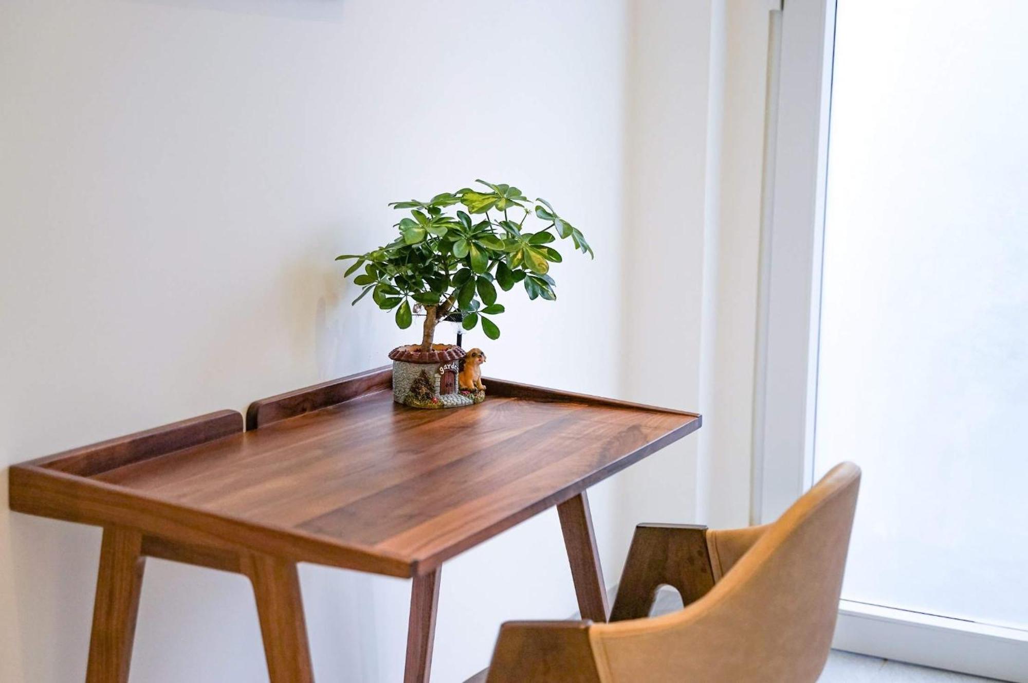 Local White House - Ecofriendly Homestay Da Nang Luaran gambar