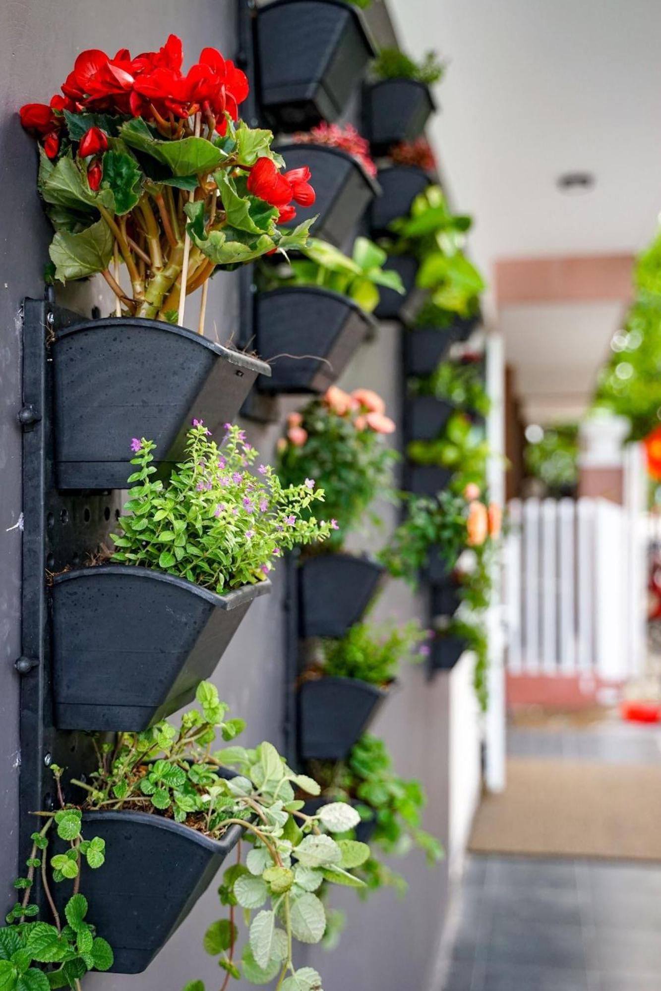 Local White House - Ecofriendly Homestay Da Nang Luaran gambar