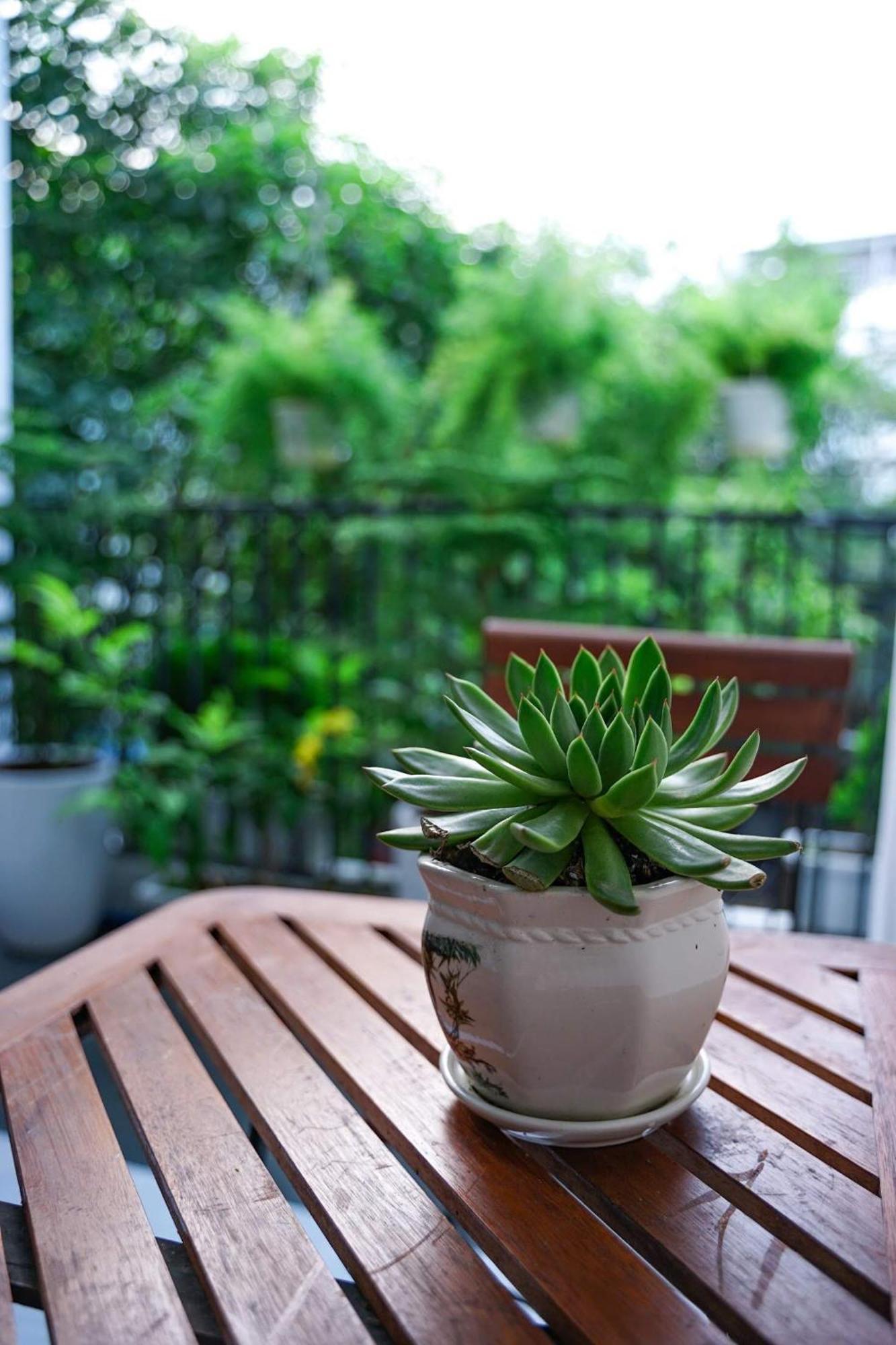 Local White House - Ecofriendly Homestay Da Nang Luaran gambar