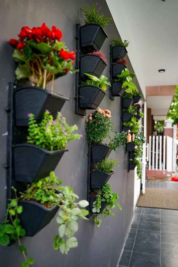 Local White House - Ecofriendly Homestay Da Nang Luaran gambar